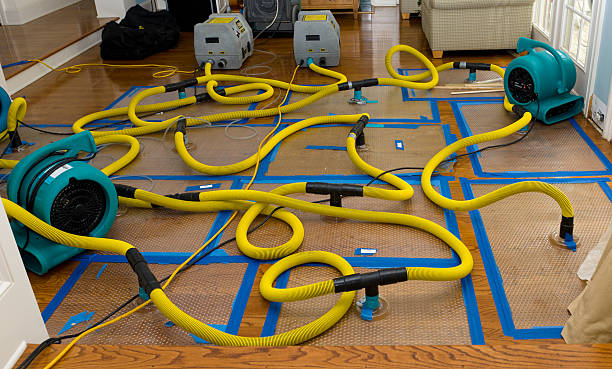 Professional Basement Flood Cleanup technician working in Beulah, CO